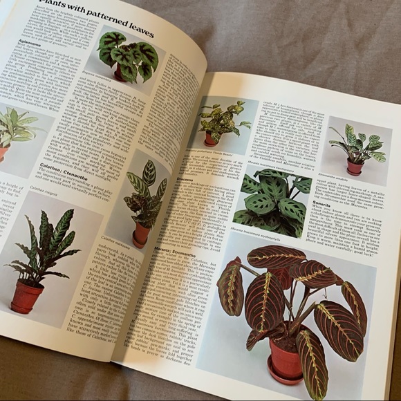 Vintage “The Complete Indoor Gardener” Book - Picture 10 of 11